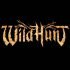 Wild Hunt: acordar os deuses