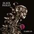 Black Paisley “Rambler”